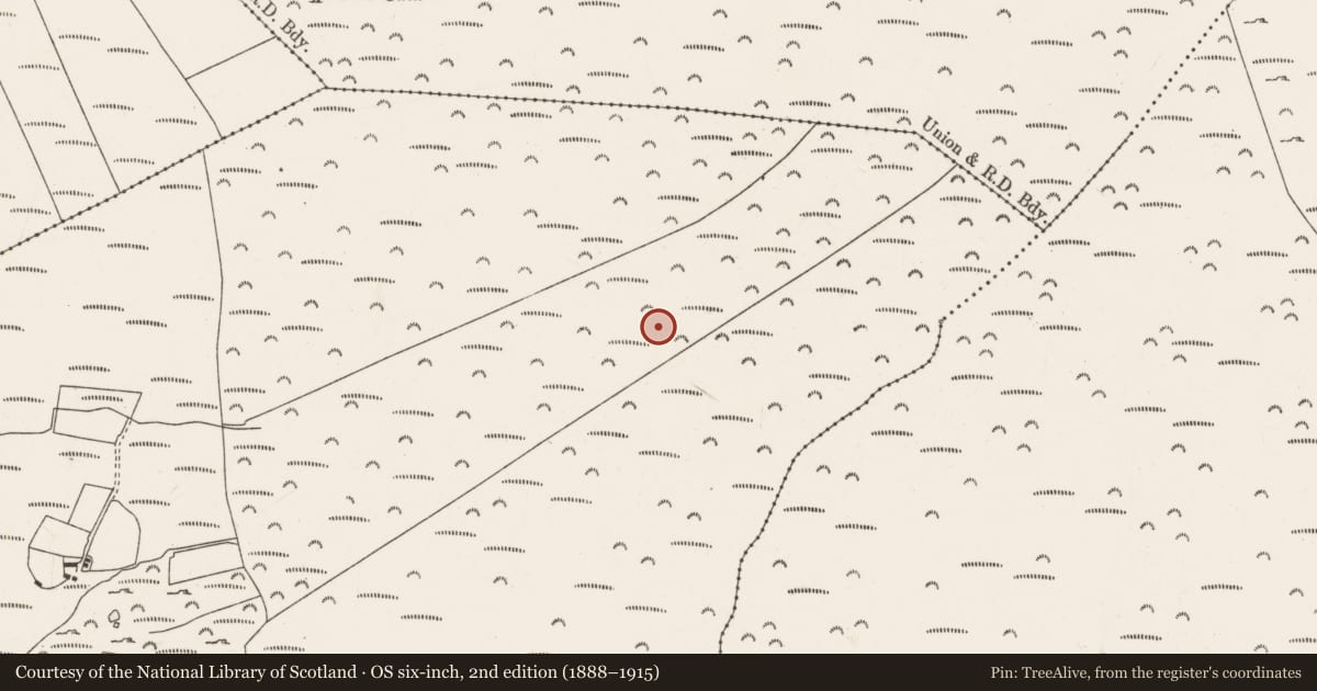 Ordnance Survey six-inch map, 2nd edition (1888–1915) covering the location of Field boundary, Carriganimmy, County Cork, with a pin at the register's coordinates
