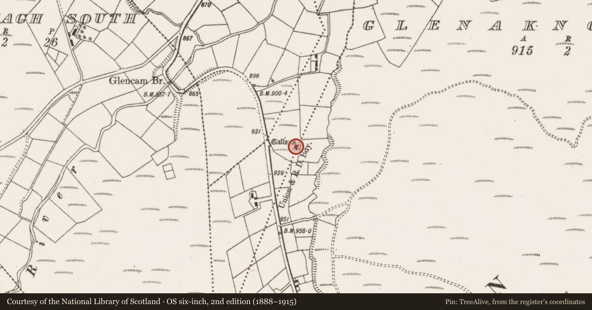 Ordnance Survey six-inch map, 2nd edition (1888–1915) covering the location of Standing stone, Knock, County Cork, with a pin at the register's coordinates