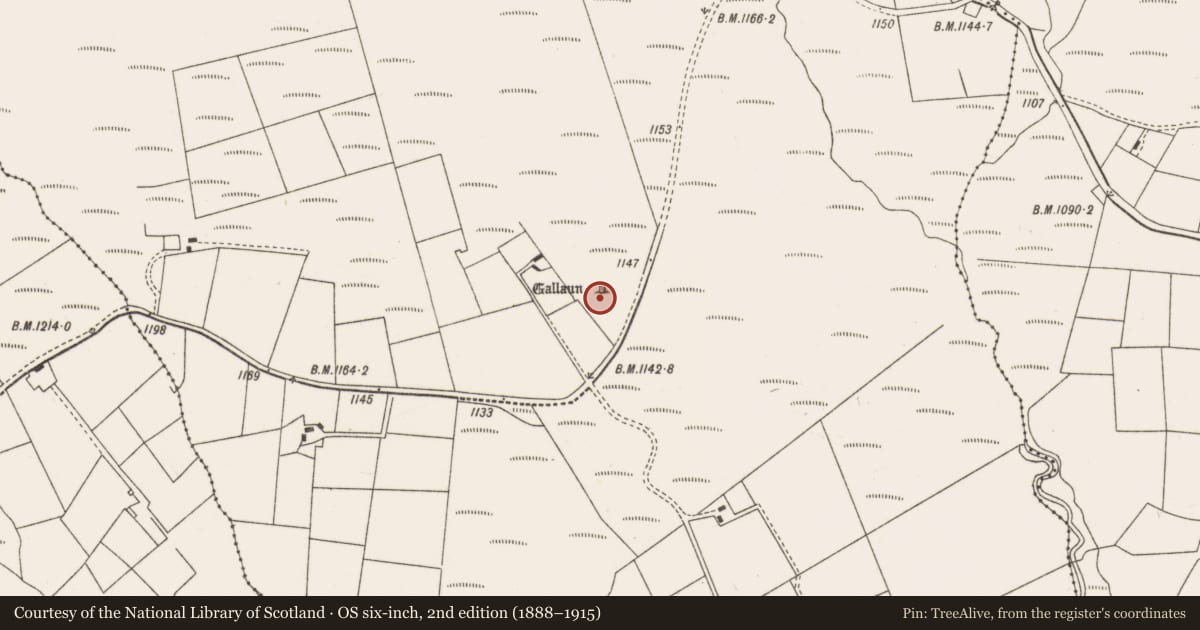 Ordnance Survey six-inch map, 2nd edition (1888–1915) covering the location of Standing stone, Ballynagree West, County Cork, with a pin at the register's coordinates
