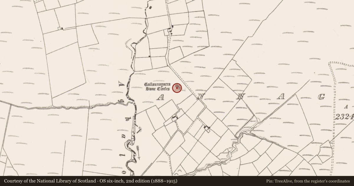 Ordnance Survey six-inch map, 2nd edition (1888–1915) covering the location of Anomalous stone group, Annagannihy, County Cork, with a pin at the register's coordinates