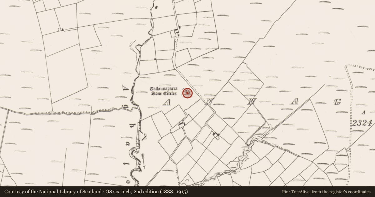 Ordnance Survey six-inch map, 2nd edition (1888–1915) covering the location of Anomalous stone group, Annagannihy, County Cork, with a pin at the register's coordinates