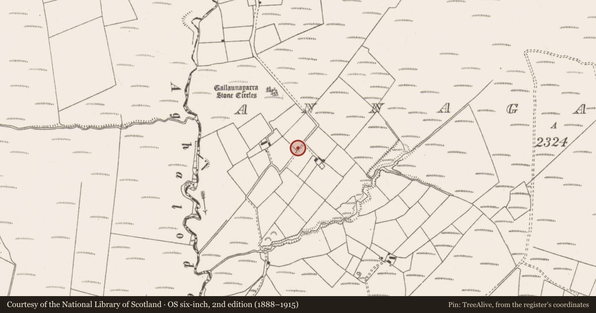 Ordnance Survey six-inch map, 2nd edition (1888–1915) covering the location of Standing stone, Annagannihy, County Cork, with a pin at the register's coordinates