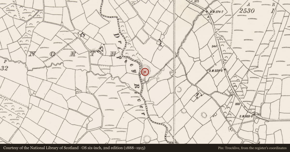 Ordnance Survey six-inch map, 2nd edition (1888–1915) covering the location of Cliff-edge fort, Barrahaurin, County Cork, with a pin at the register's coordinates