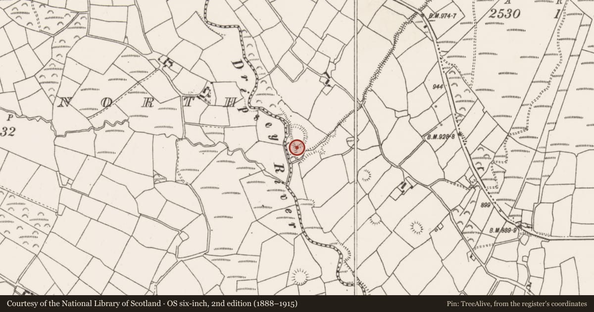 Ordnance Survey six-inch map, 2nd edition (1888–1915) covering the location of Souterrain, Barrahaurin, County Cork, with a pin at the register's coordinates