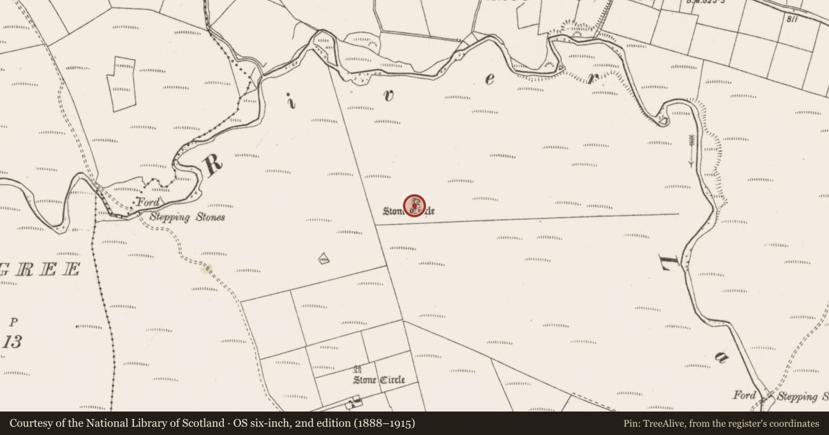 Ordnance Survey six-inch map, 2nd edition (1888–1915) covering the location of Stone circle - five-stone, Carrigagulla, County Cork, with a pin at the register's coordinates
