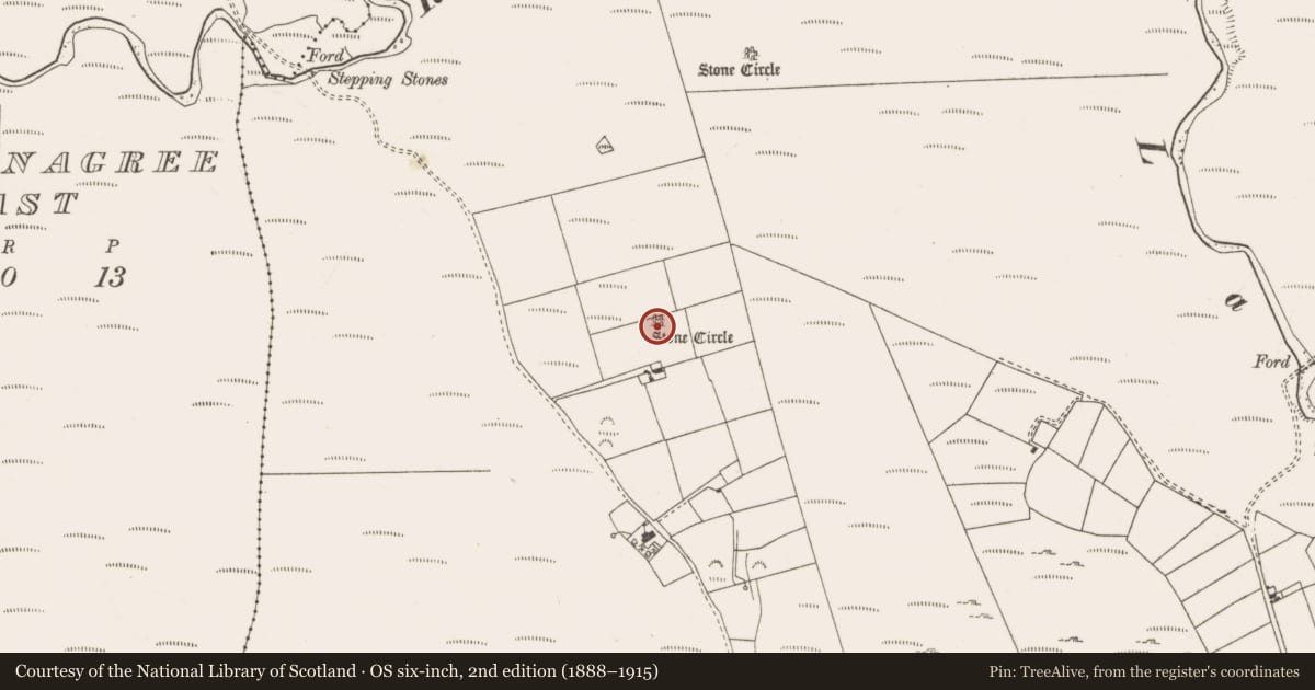 Ordnance Survey six-inch map, 2nd edition (1888–1915) covering the location of Stone circle - multiple-stone, Carrigagulla, County Cork, with a pin at the register's coordinates