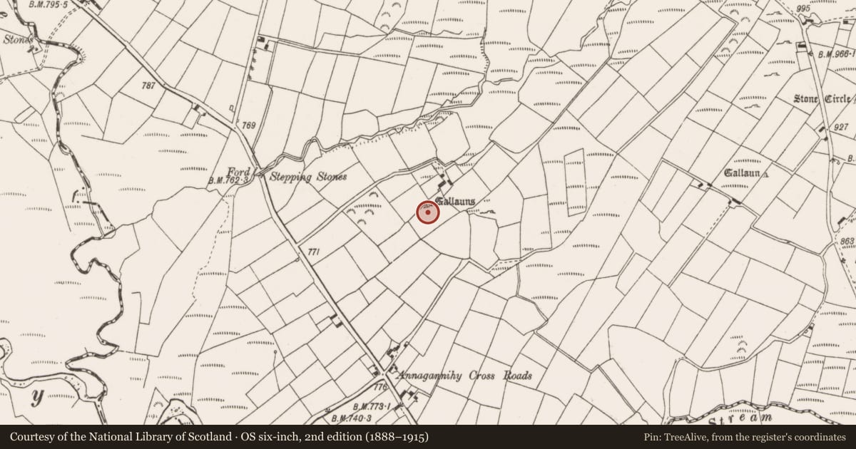 Ordnance Survey six-inch map, 2nd edition (1888–1915) covering the location of Standing stone - pair, Annagannihy, County Cork, with a pin at the register's coordinates
