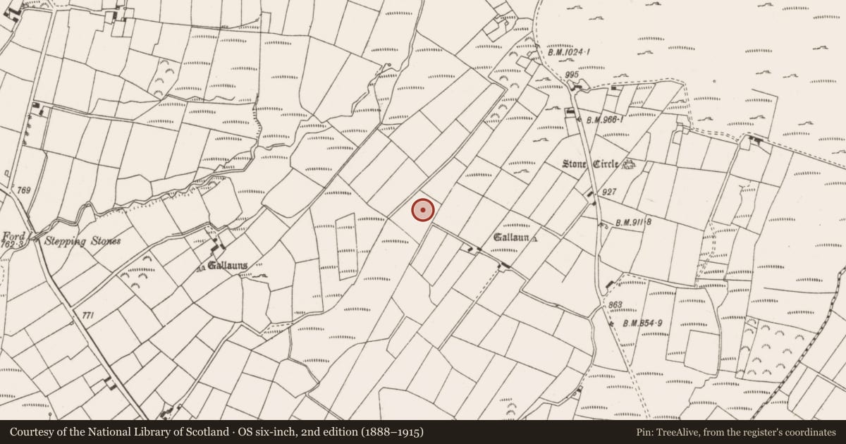 Ordnance Survey six-inch map, 2nd edition (1888–1915) covering the location of Standing stone, Annagannihy, County Cork, with a pin at the register's coordinates