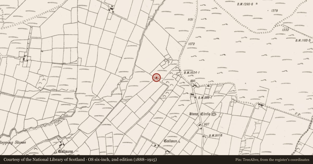 Ordnance Survey six-inch map, 2nd edition (1888–1915) covering the location of Standing stone, Annagannihy, County Cork, with a pin at the register's coordinates