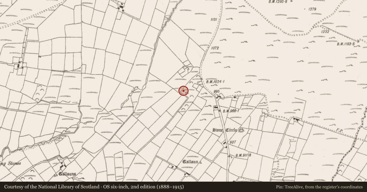 Ordnance Survey six-inch map, 2nd edition (1888–1915) covering the location of Standing stone, Annagannihy, County Cork, with a pin at the register's coordinates