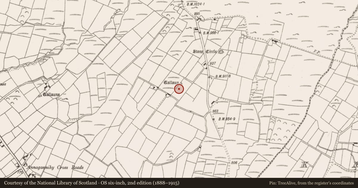Ordnance Survey six-inch map, 2nd edition (1888–1915) covering the location of Standing stone, Annagannihy, County Cork, with a pin at the register's coordinates
