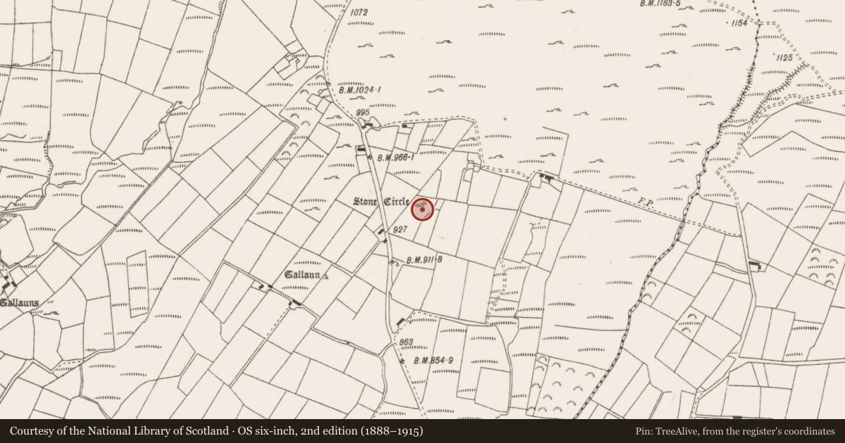 Ordnance Survey six-inch map, 2nd edition (1888–1915) covering the location of Anomalous stone group, Annagannihy, County Cork, with a pin at the register's coordinates