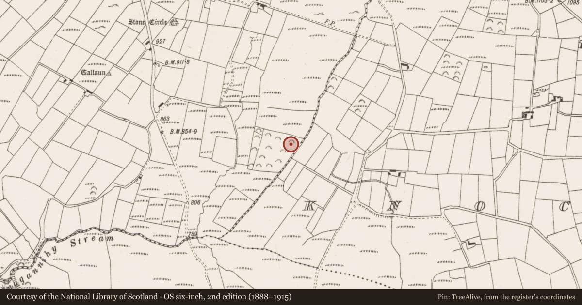 Ordnance Survey six-inch map, 2nd edition (1888–1915) covering the location of Standing stone, Annagannihy, County Cork, with a pin at the register's coordinates
