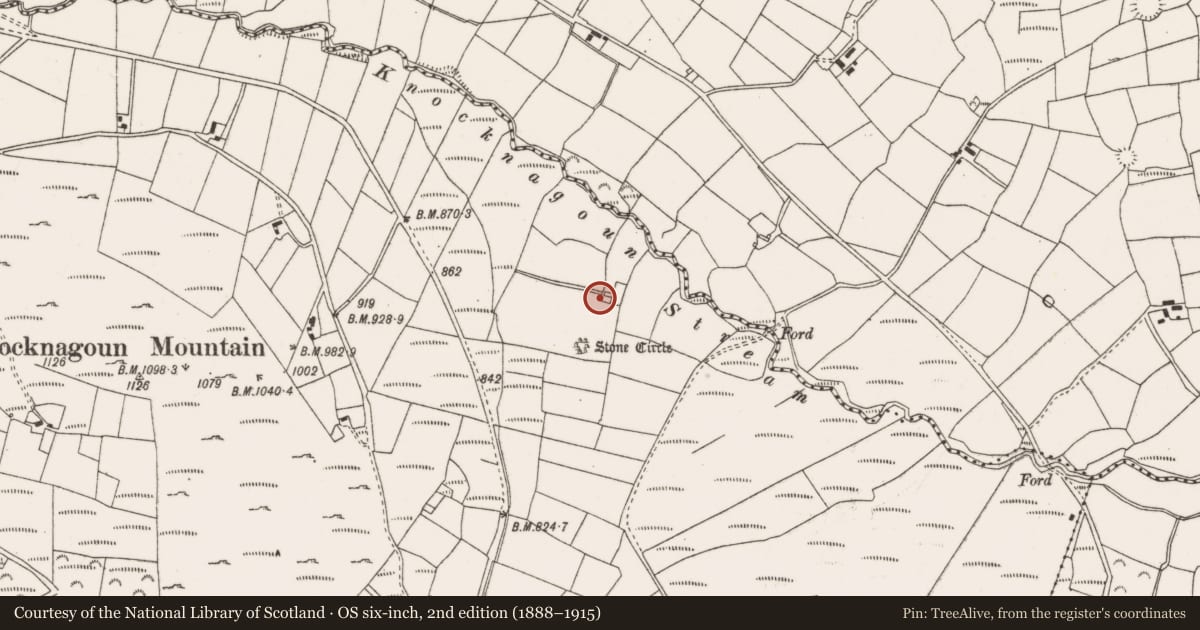 Ordnance Survey six-inch map, 2nd edition (1888–1915) covering the location of Enclosure, Knocknagoun, County Cork, with a pin at the register's coordinates