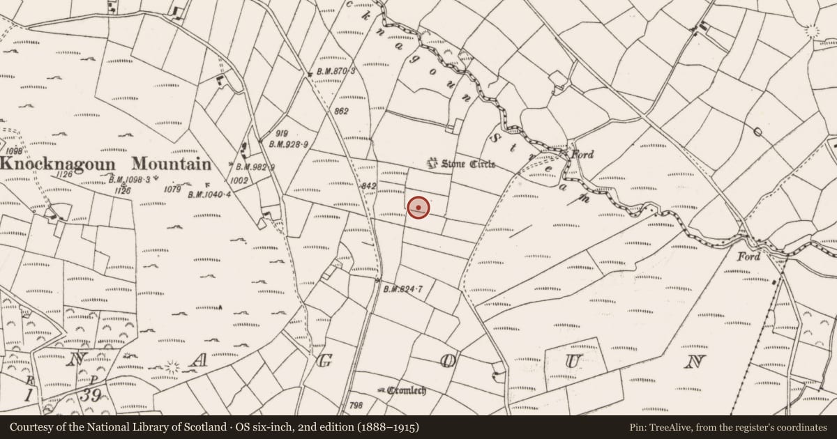 Ordnance Survey six-inch map, 2nd edition (1888–1915) covering the location of Fulacht fia, Knocknagoun, County Cork, with a pin at the register's coordinates