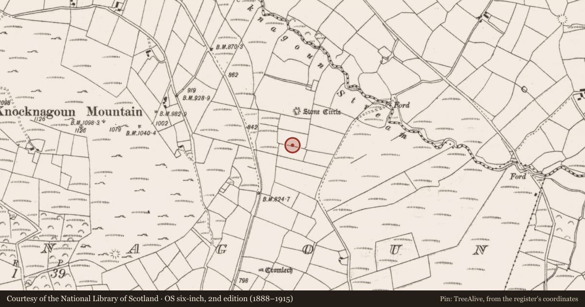 Ordnance Survey six-inch map, 2nd edition (1888–1915) covering the location of Standing stone, Knocknagoun, County Cork, with a pin at the register's coordinates