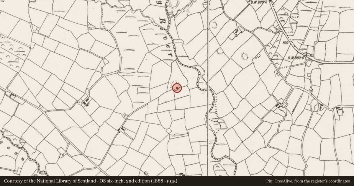 Ordnance Survey six-inch map, 2nd edition (1888–1915) covering the location of Ringfort - rath, Kilcullen North, County Cork, with a pin at the register's coordinates