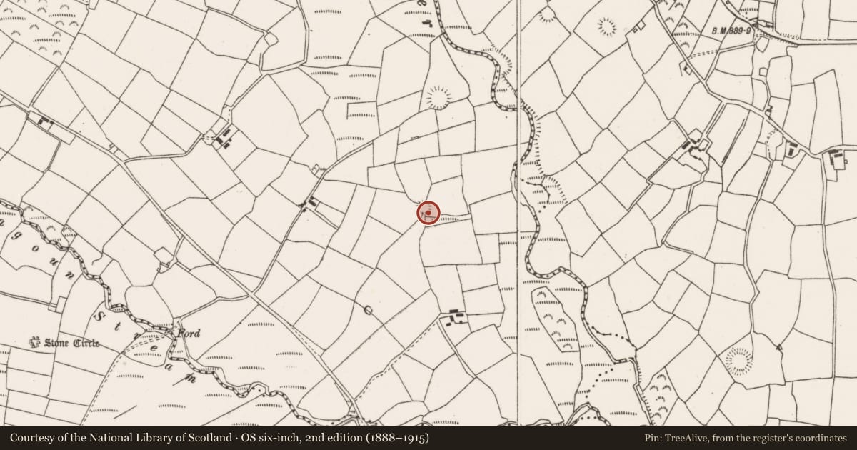 Ordnance Survey six-inch map, 2nd edition (1888–1915) covering the location of Ringfort - rath, Kilcullen North, County Cork, with a pin at the register's coordinates