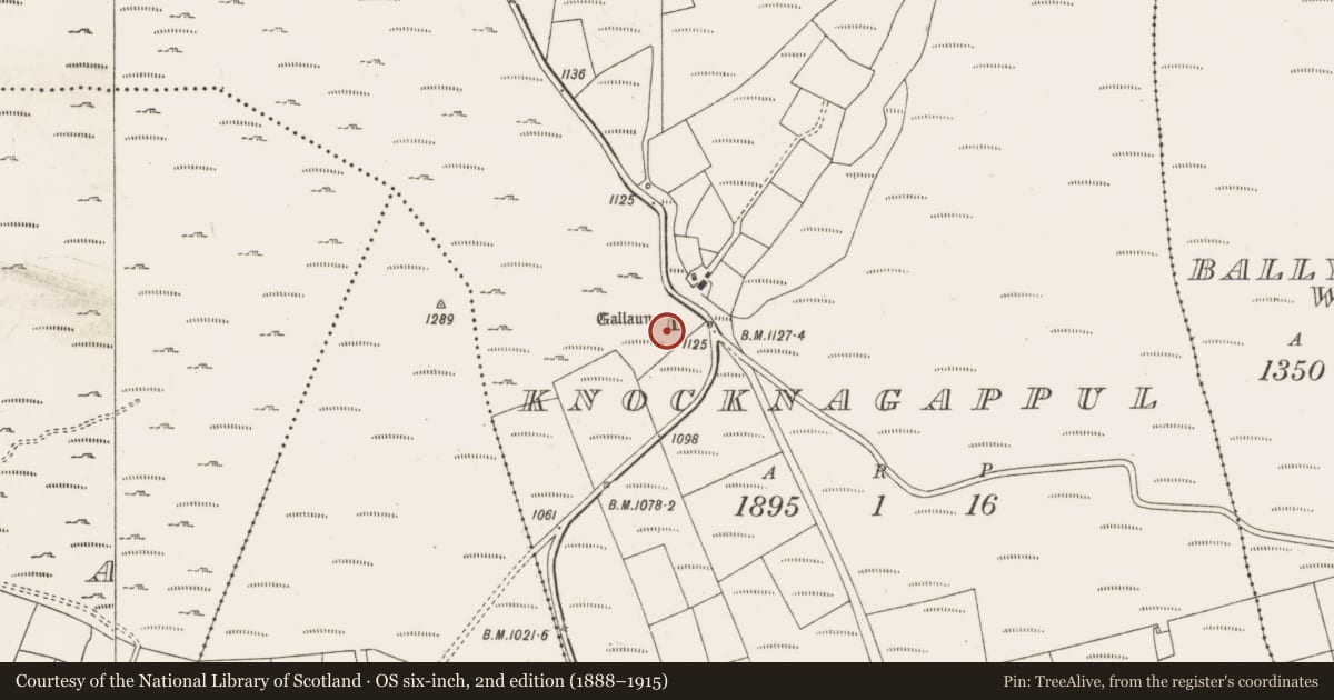 Ordnance Survey six-inch map, 2nd edition (1888–1915) covering the location of Stone row, Knocknagappul, County Cork, with a pin at the register's coordinates