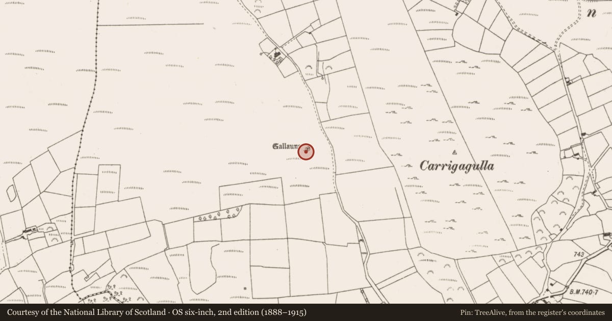 Ordnance Survey six-inch map, 2nd edition (1888–1915) covering the location of Stone row, Carrigagulla, County Cork, with a pin at the register's coordinates