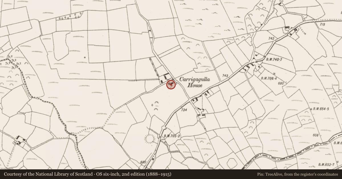 Ordnance Survey six-inch map, 2nd edition (1888–1915) covering the location of Country house, Carrigagulla, County Cork, with a pin at the register's coordinates