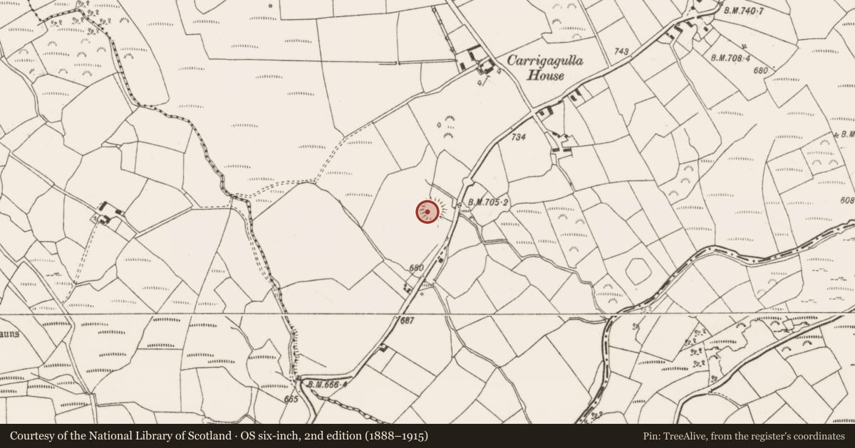 Ordnance Survey six-inch map, 2nd edition (1888–1915) covering the location of Ringfort - rath, Carrigagulla, County Cork, with a pin at the register's coordinates