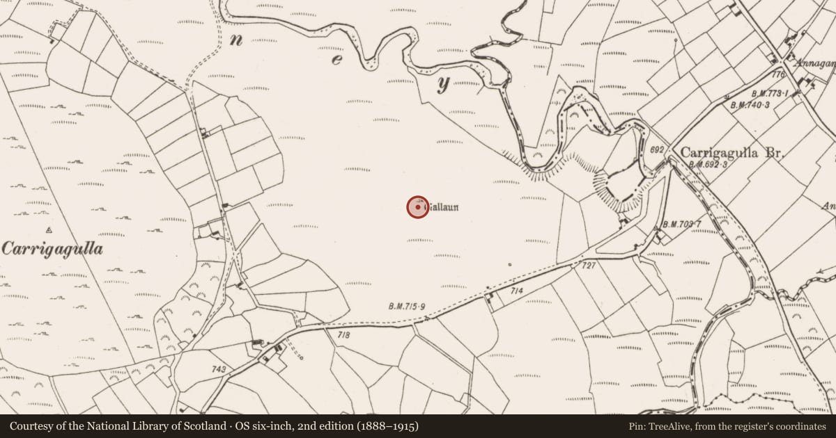 Ordnance Survey six-inch map, 2nd edition (1888–1915) covering the location of Stone row, Carrigagulla, County Cork, with a pin at the register's coordinates