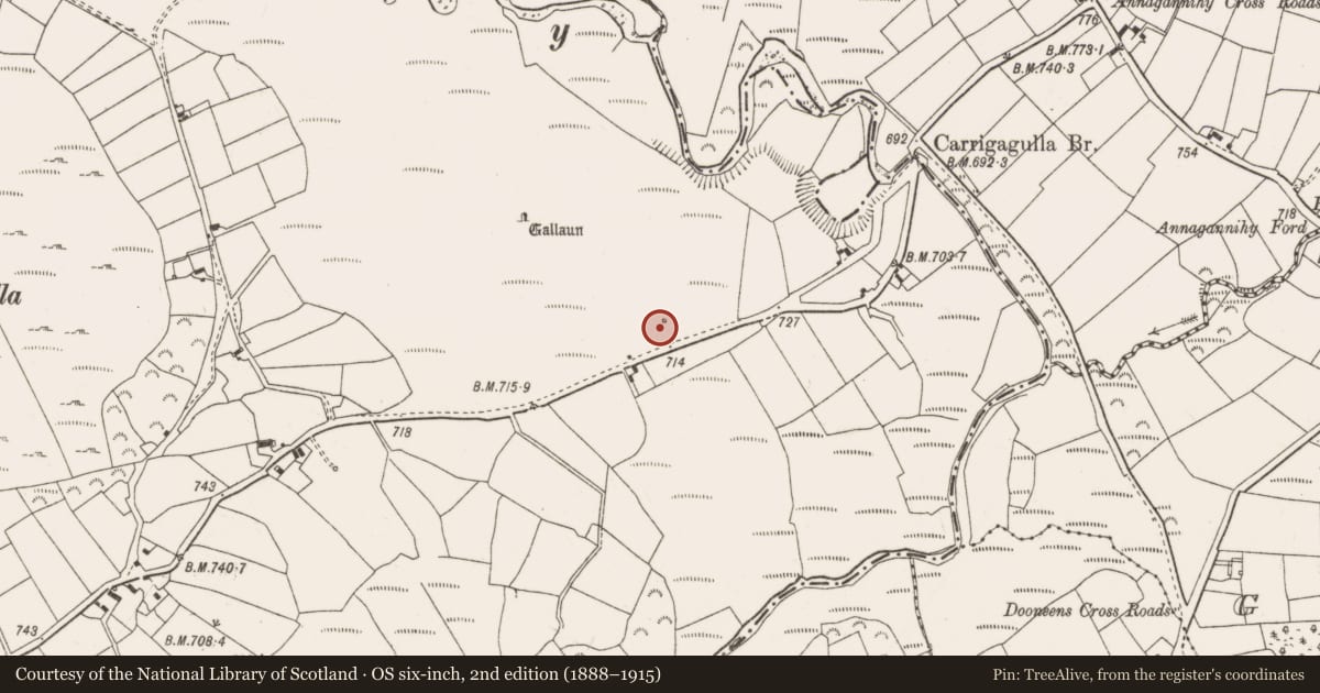 Ordnance Survey six-inch map, 2nd edition (1888–1915) covering the location of Kiln - lime, Carrigagulla, County Cork, with a pin at the register's coordinates