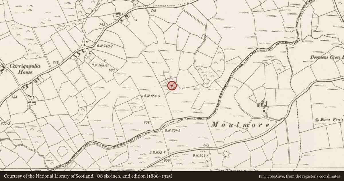 Ordnance Survey six-inch map, 2nd edition (1888–1915) covering the location of Fulacht fia, Carrigagulla, County Cork, with a pin at the register's coordinates