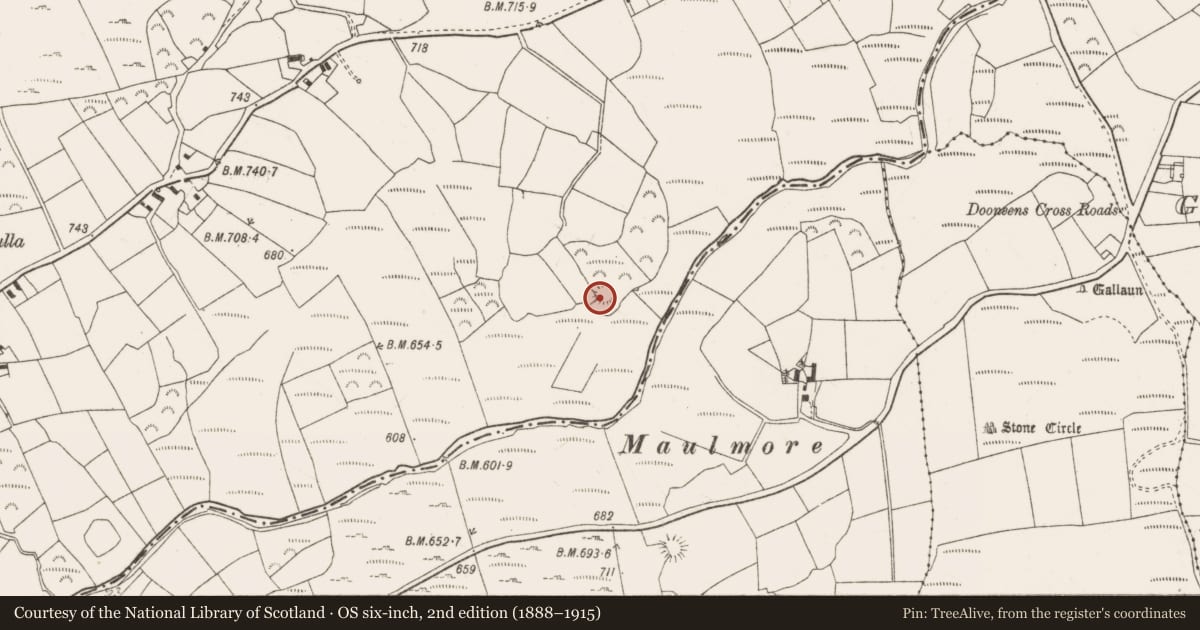Ordnance Survey six-inch map, 2nd edition (1888–1915) covering the location of Ringfort - rath, Carrigagulla, County Cork, with a pin at the register's coordinates