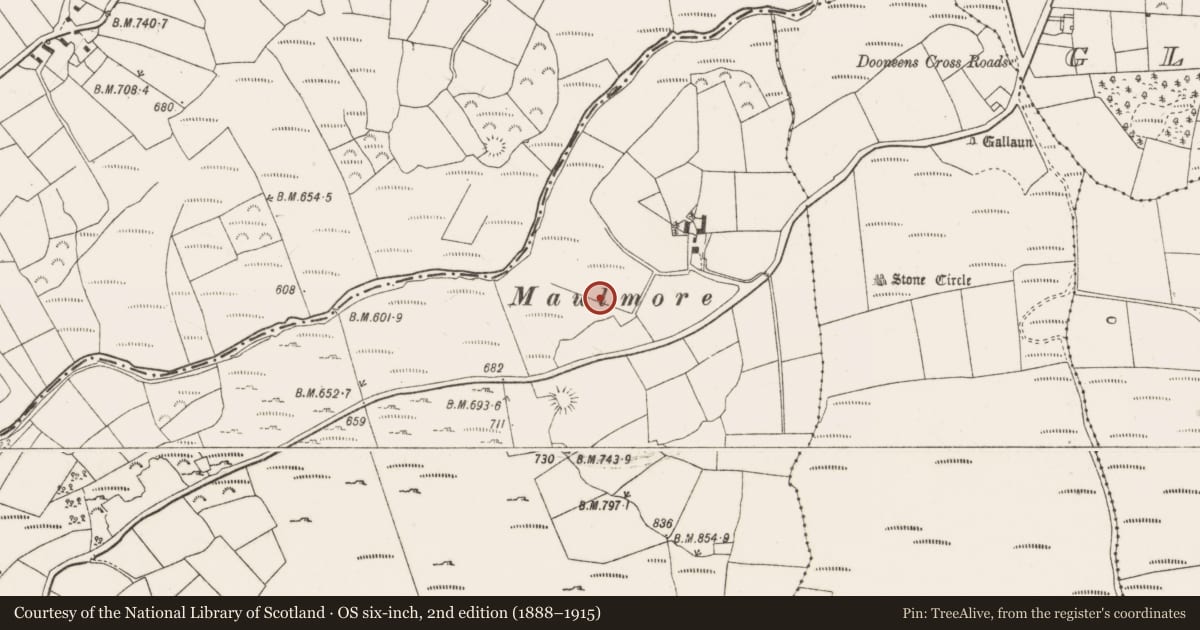 Ordnance Survey six-inch map, 2nd edition (1888–1915) covering the location of Fulacht fia, Dooneens, County Cork, with a pin at the register's coordinates