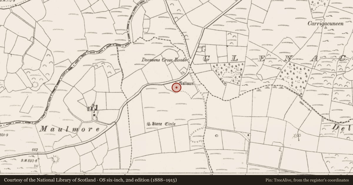 Ordnance Survey six-inch map, 2nd edition (1888–1915) covering the location of Anomalous stone group, Oughtihery, County Cork, with a pin at the register's coordinates