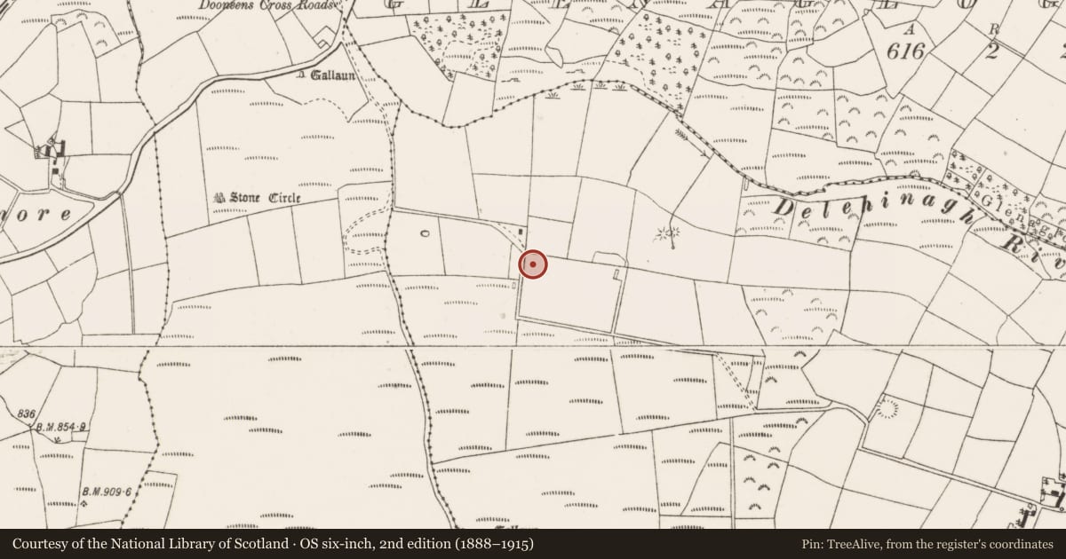 Ordnance Survey six-inch map, 2nd edition (1888–1915) covering the location of Standing stone, Glenaglogh South, County Cork, with a pin at the register's coordinates
