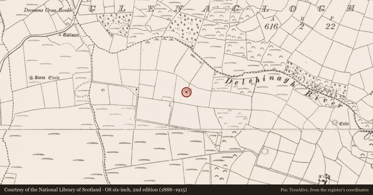 Ordnance Survey six-inch map, 2nd edition (1888–1915) covering the location of Fulacht fia, Glenaglogh South, County Cork, with a pin at the register's coordinates