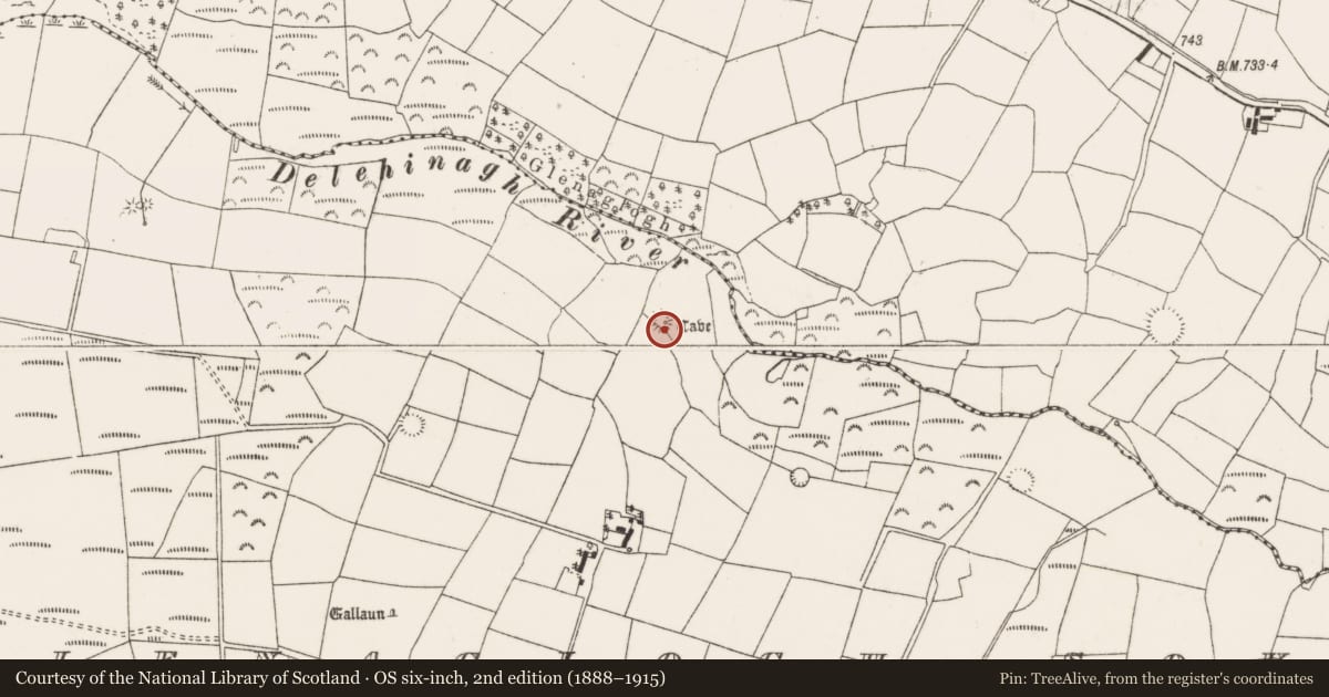 Ordnance Survey six-inch map, 2nd edition (1888–1915) covering the location of Ringfort - rath, Glenaglogh South, County Cork, with a pin at the register's coordinates