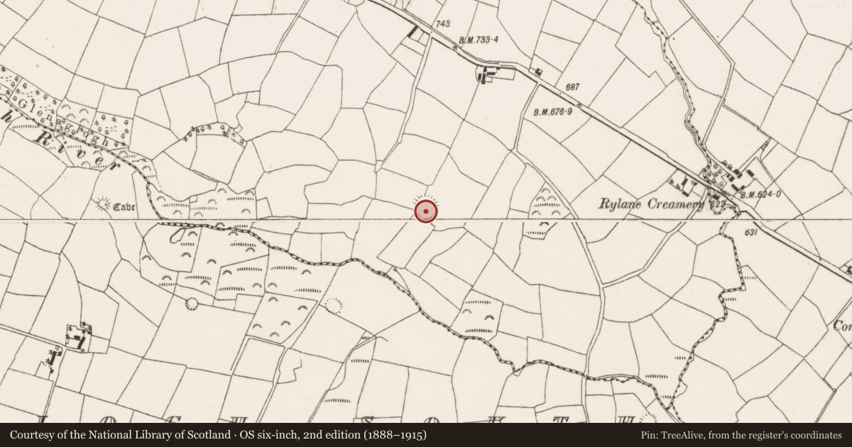 Ordnance Survey six-inch map, 2nd edition (1888–1915) covering the location of Souterrain, Glenaglogh North, County Cork, with a pin at the register's coordinates