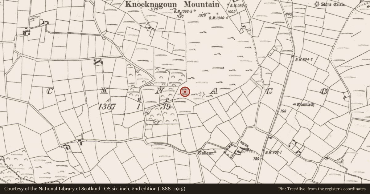 Ordnance Survey six-inch map, 2nd edition (1888–1915) covering the location of Enclosure, Knocknagoun, County Cork, with a pin at the register's coordinates