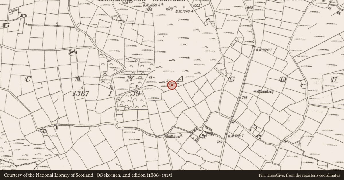 Ordnance Survey six-inch map, 2nd edition (1888–1915) covering the location of Enclosure, Knocknagoun, County Cork, with a pin at the register's coordinates
