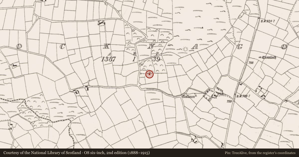 Ordnance Survey six-inch map, 2nd edition (1888–1915) covering the location of Ringfort - rath, Knocknagoun, County Cork, with a pin at the register's coordinates