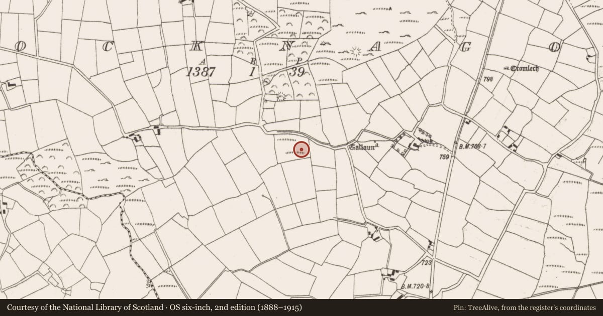 Ordnance Survey six-inch map, 2nd edition (1888–1915) covering the location of Fulacht fia, Knocknagoun, County Cork, with a pin at the register's coordinates