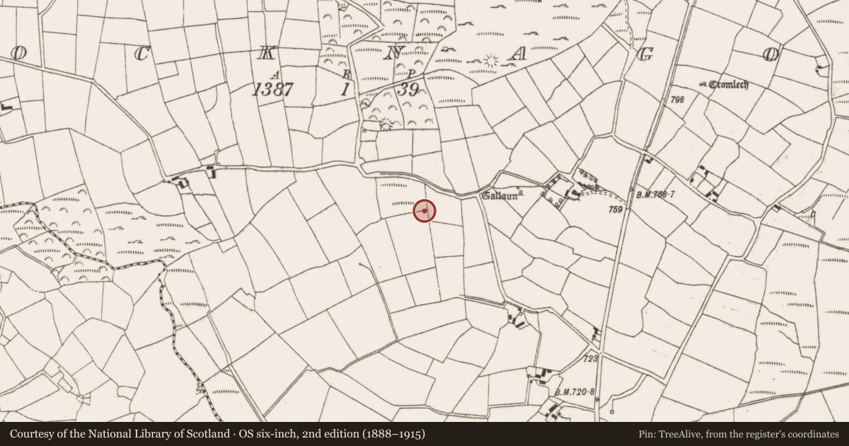 Ordnance Survey six-inch map, 2nd edition (1888–1915) covering the location of Fulacht fia, Knocknagoun, County Cork, with a pin at the register's coordinates
