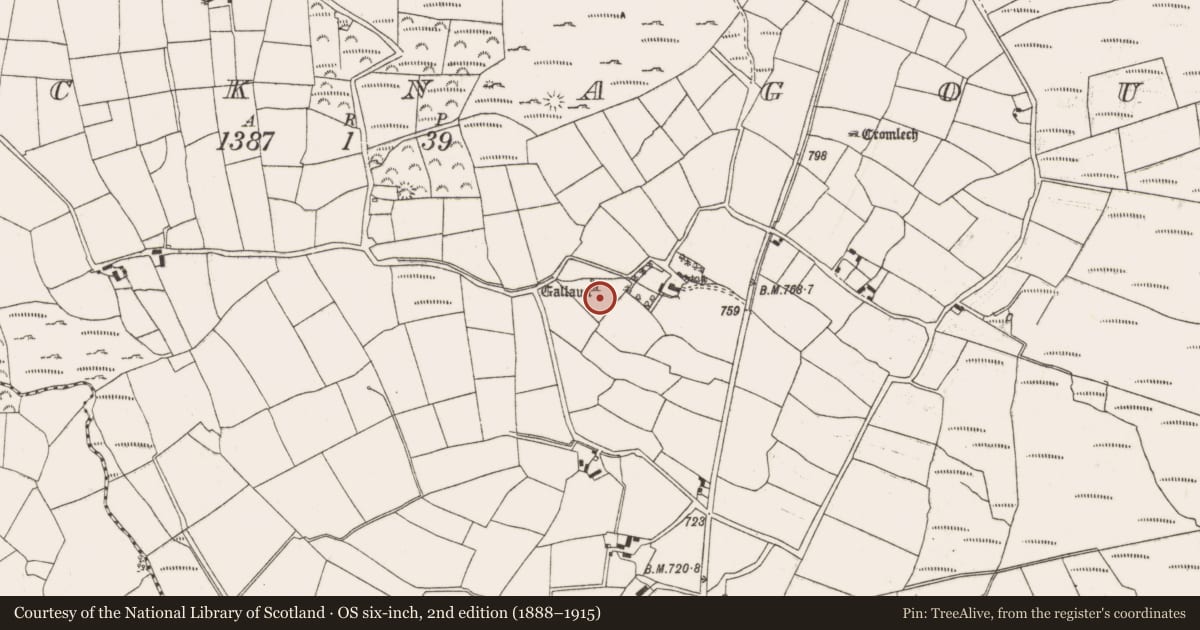 Ordnance Survey six-inch map, 2nd edition (1888–1915) covering the location of Standing stone, Knocknagoun, County Cork, with a pin at the register's coordinates
