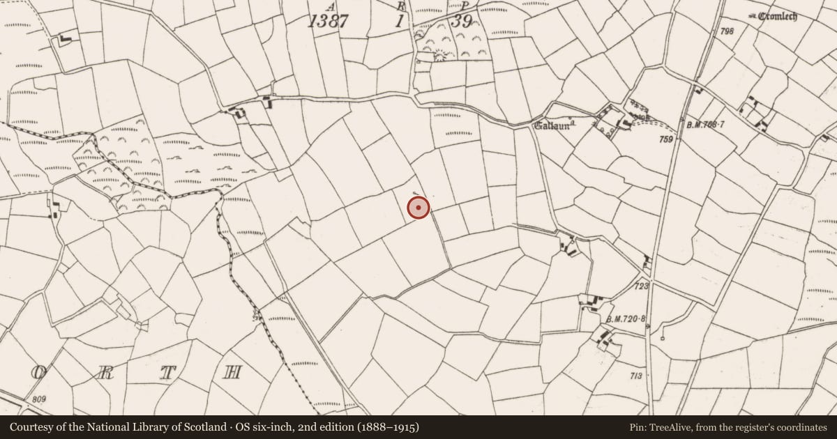 Ordnance Survey six-inch map, 2nd edition (1888–1915) covering the location of Fulacht fia, Knocknagoun, County Cork, with a pin at the register's coordinates
