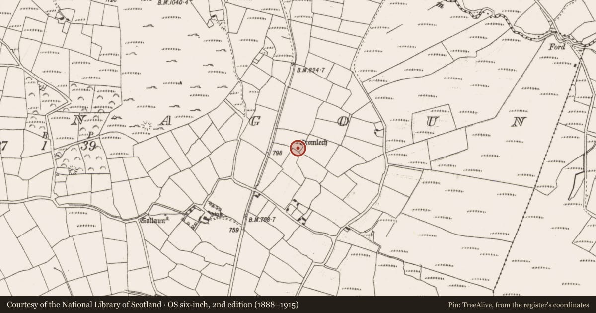 Ordnance Survey six-inch map, 2nd edition (1888–1915) covering the location of Megalithic tomb - wedge tomb, Knocknagoun, County Cork, with a pin at the register's coordinates