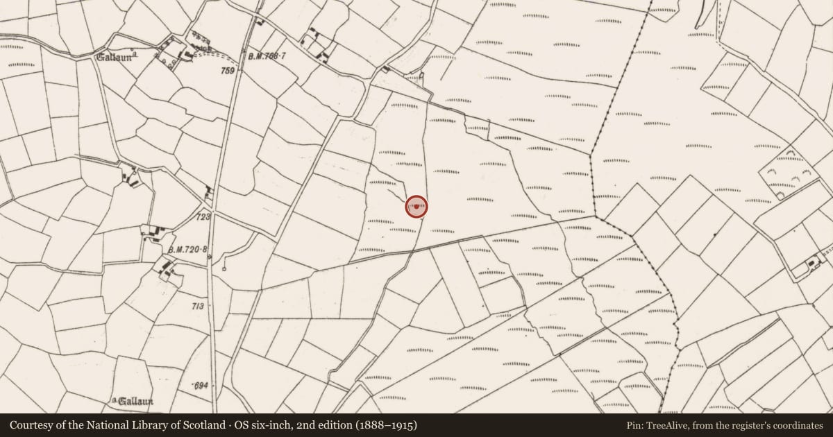 Ordnance Survey six-inch map, 2nd edition (1888–1915) covering the location of Fulacht fia, Knocknagoun, County Cork, with a pin at the register's coordinates