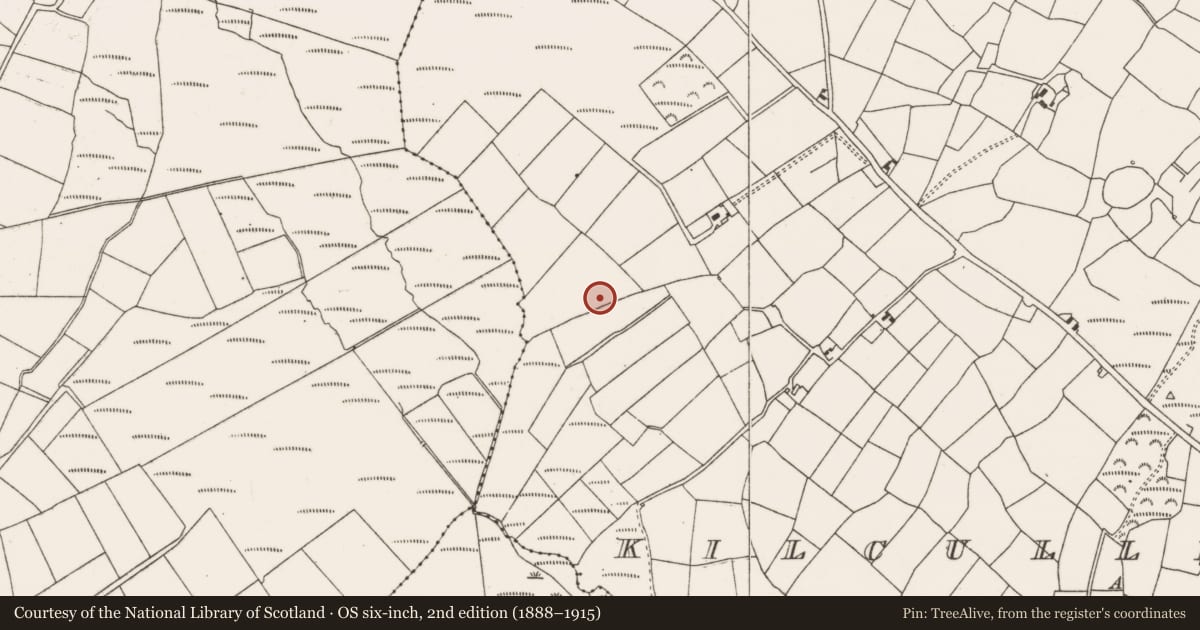 Ordnance Survey six-inch map, 2nd edition (1888–1915) covering the location of Fulacht fia, Kilcullen South, County Cork, with a pin at the register's coordinates