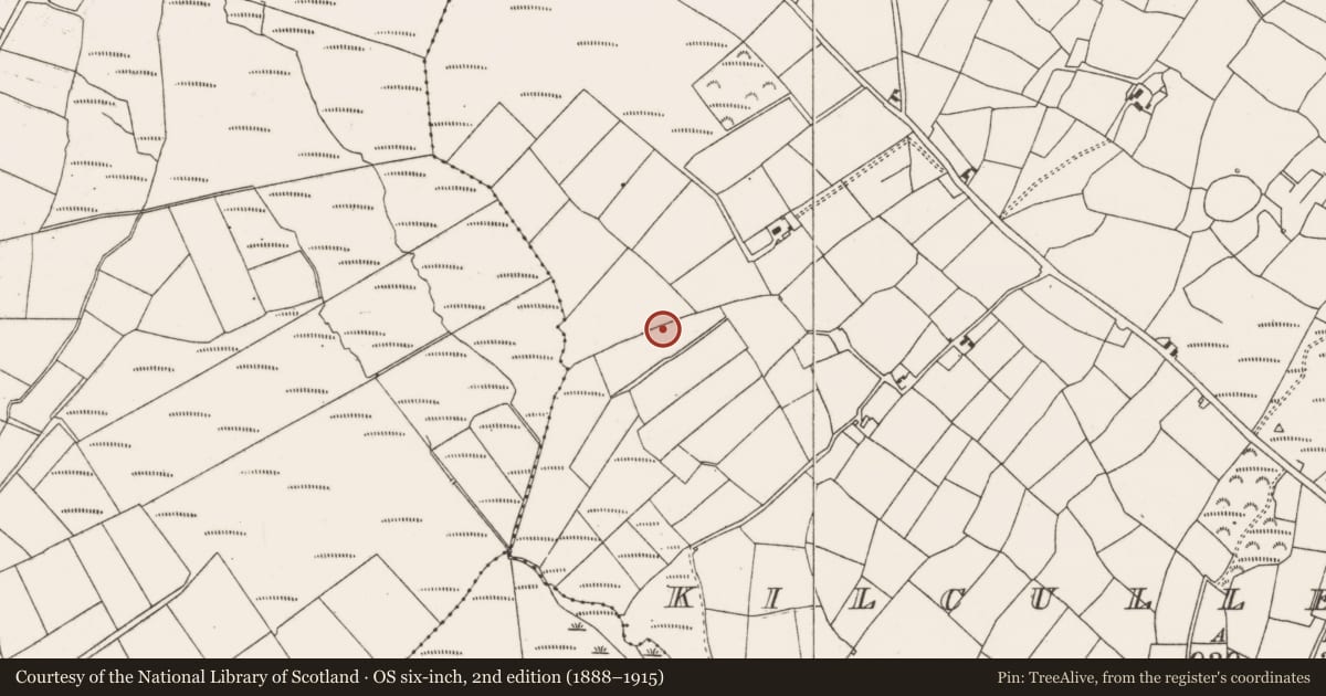 Ordnance Survey six-inch map, 2nd edition (1888–1915) covering the location of Fulacht fia, Kilcullen South, County Cork, with a pin at the register's coordinates