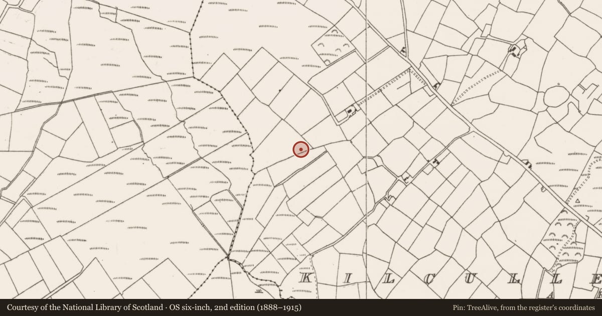Ordnance Survey six-inch map, 2nd edition (1888–1915) covering the location of Fulacht fia, Kilcullen South, County Cork, with a pin at the register's coordinates