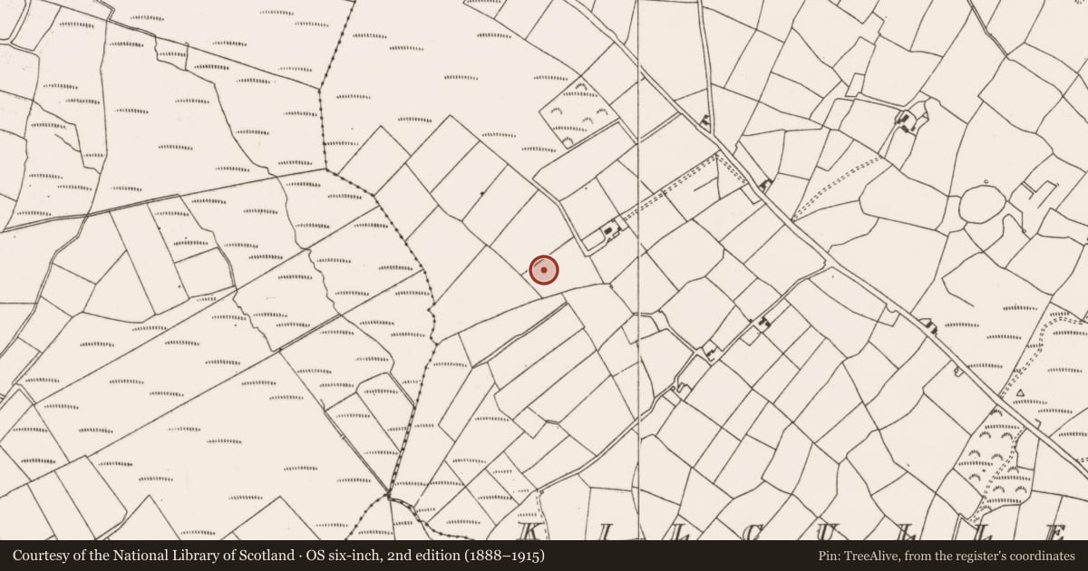 Ordnance Survey six-inch map, 2nd edition (1888–1915) covering the location of Fulacht fia, Kilcullen South, County Cork, with a pin at the register's coordinates