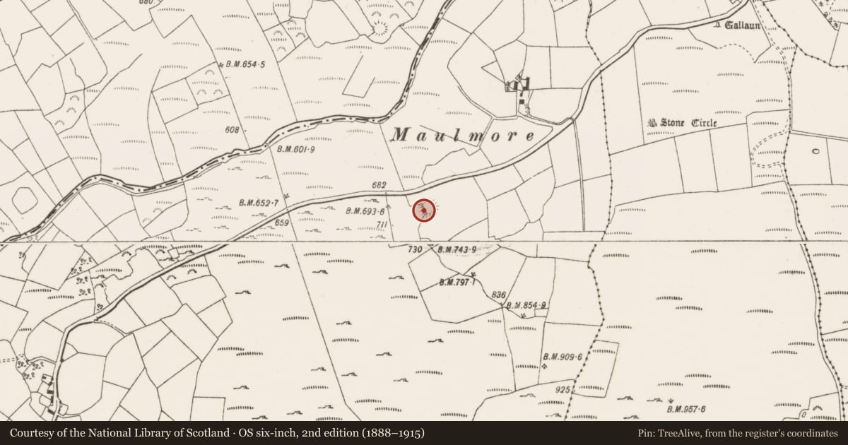 Ordnance Survey six-inch map, 2nd edition (1888–1915) covering the location of Souterrain, Dooneens, County Cork, with a pin at the register's coordinates